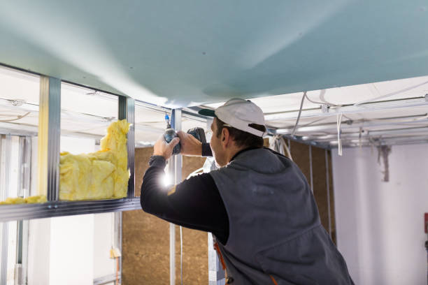 Best Blown-in Insulation  in Waxahachie, TX