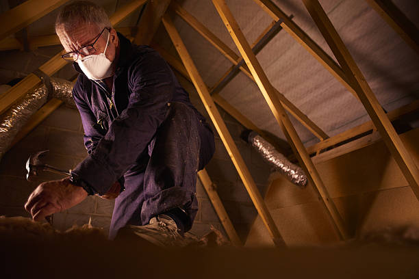 Best Insulation for New Construction  in Waxahachie, TX